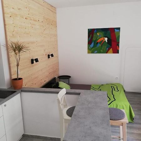 Studio Apartman Fleiss Διαμέρισμα Samobor Εξωτερικό φωτογραφία
