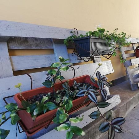 Studio Apartman Fleiss Διαμέρισμα Samobor Εξωτερικό φωτογραφία