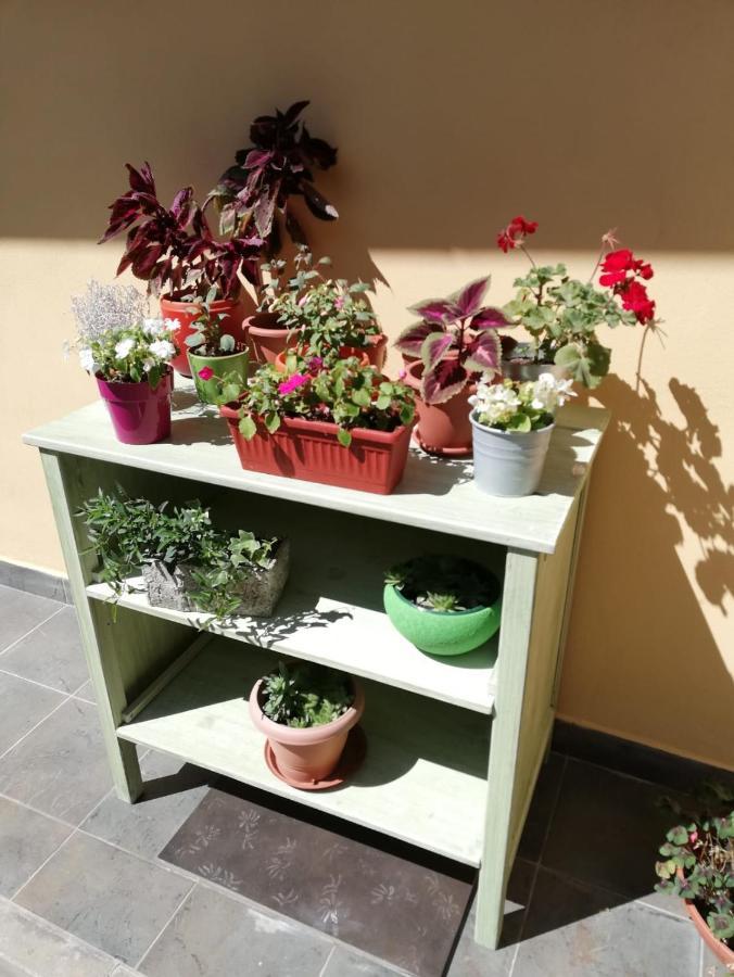 Studio Apartman Fleiss Διαμέρισμα Samobor Εξωτερικό φωτογραφία
